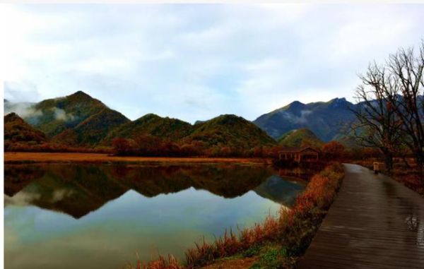 湖北可以住在山上的景区？大九湖附近酒店哪个好