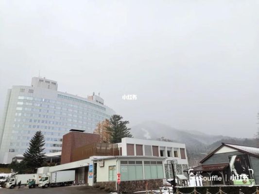 秋田到北海道旅游攻略？富良野巴士 新王子酒店