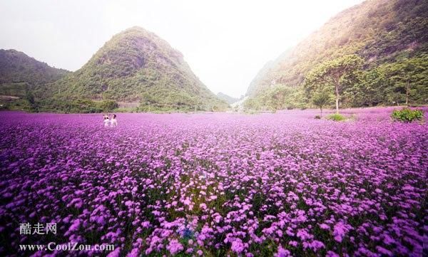 贵阳周边端午节旅游去哪好？贵州荔波薰衣草酒店预订