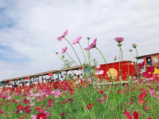 蔚然花海音乐节怎么去？花海那个酒店